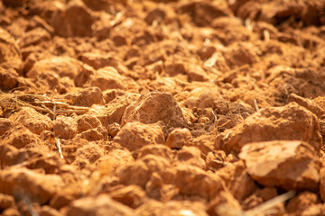 Ploughed land ready for cultivation, Kolar, Karnataka, India. Agricultural field ready for sowing.