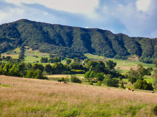 Montaña vista desde cerca a los campos