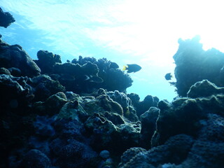 海中の岩礁から見上げるまばゆい空