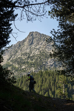 Side view of unrecognizable male explorer with trekking poles hiking in green highland valley under blue sky on sunny day
