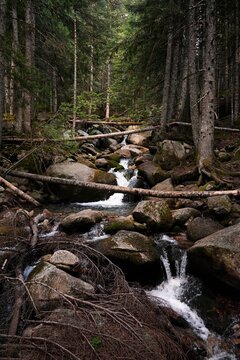 Majestic landscape of narrow creek surrounded by rough stones and trees in mountains