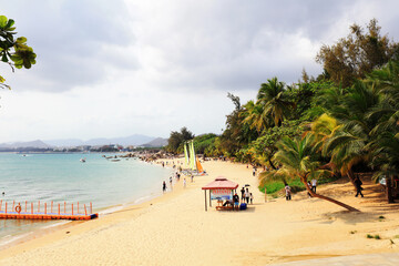 Natural scenery of tall coconut trees in Sanya tourist area, Sanya City, Hainan Province, China
