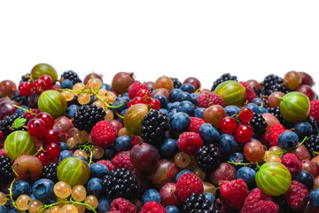 Gooseberries, blueberries, mulberry, raspberries, white and red currants isolated