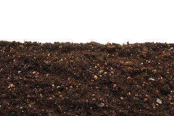 Black land for plant.