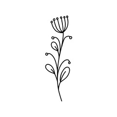 Hand drawing flower. Perfect for wedding invitations, greeting cards, blogs. Vector illustration isolated on white.