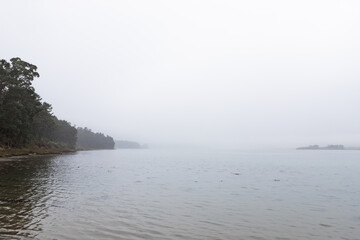 photo of a beach with many trees around on a cloudy day
