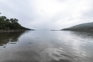 photo of a beach with many trees around on a cloudy day
