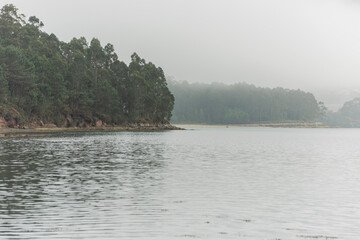 photo of a beach with many trees around on a cloudy day
