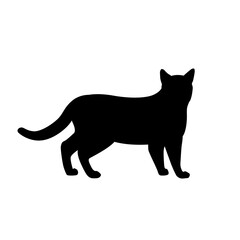Black Cat Silhouette on White Background. Icon Vector Illustration. Concept for  Logo, Print, Sticker.