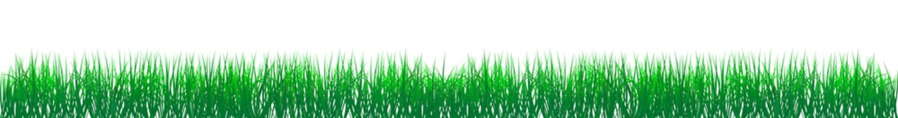 Fototapeta na wymiar Grünes Gras vektor auf einem isolierten weißen Hintergrund.