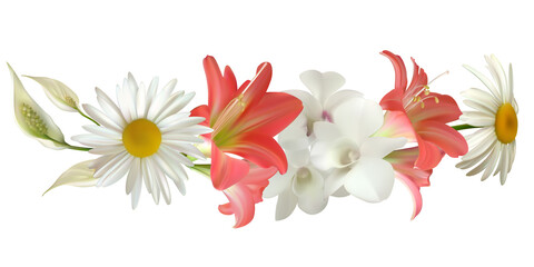 Tropical flowers. Pink lily. White orchids. Bouquet. Vector illustration. Floral background. Chamomile.