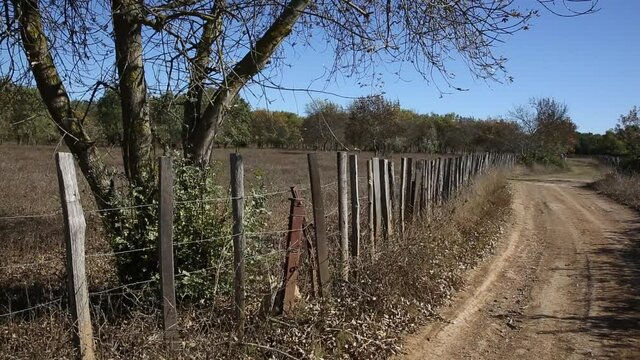 Balade en camargue