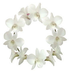 Tropical flowers. Flower wreath. White orchids. Floral background. Exotic. Beautiful vector illustration.