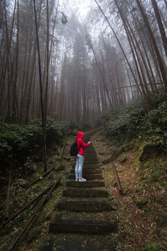 Low angle side view of anonymous traveler in raincoat and with backpack using GPS on mobile phone while checking location during hiking in dense foggy forest