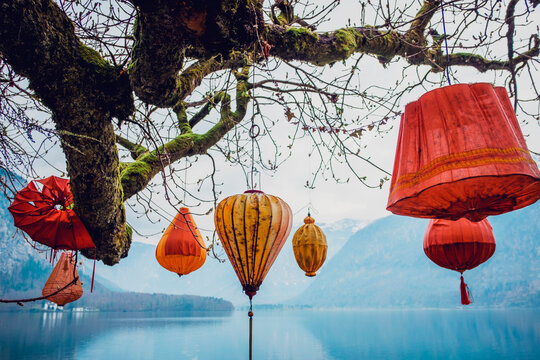 Low angle of colorful paper lanterns hanging from tree growing near picturesque lake surrounded by rocky mountains in Hallstatt