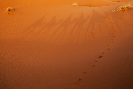 From above of footsteps on texture of brown sand in hot desert in Morocco