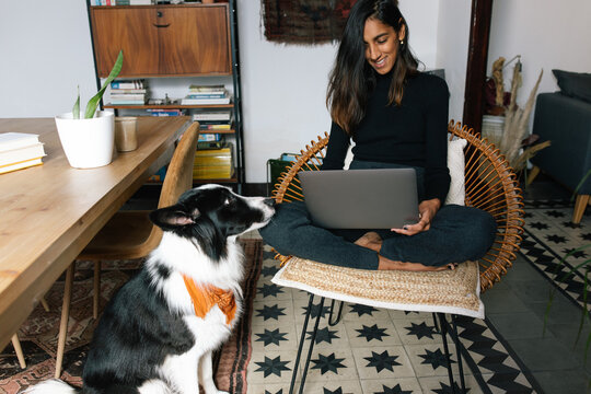 Delighted Indian female freelancer sitting on chair and working remotely from home with obedient Border Collie dog sitting nearby