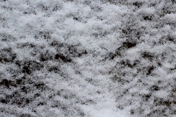 A close view of the white snow on the ground.