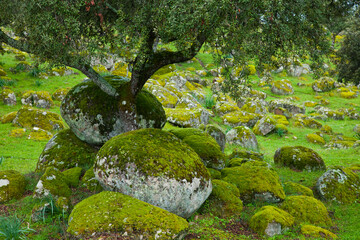 Parque Natural Sierra de Andújar, Jaen, Andalucía, España