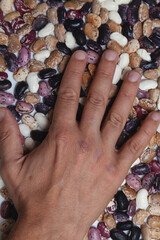 Hand lies on top of multicolored bean seeds