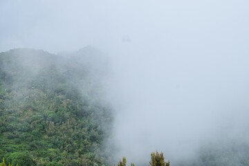 Foggy mountain landscapes in the Aberdares, Kenya