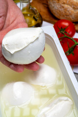 Cheese maker holding in hand fresh handmade soft Italian cheese from Campania, white balls of buffalo mozzarella cheese made from cow milk in container with water