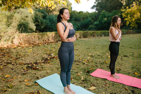 Focused young women in activewear keeping hands on chest and abdomen while practicing yoga breathing together in green park