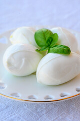 Fresh soft white italian cheese mozzarella buffalo made from Italian buffalo's milk by pasta filata method