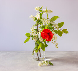 Branches of white bird cherry and tulip. Beautiful bouquet with spring flowers. Women's day, March 8, Mother’s Day.