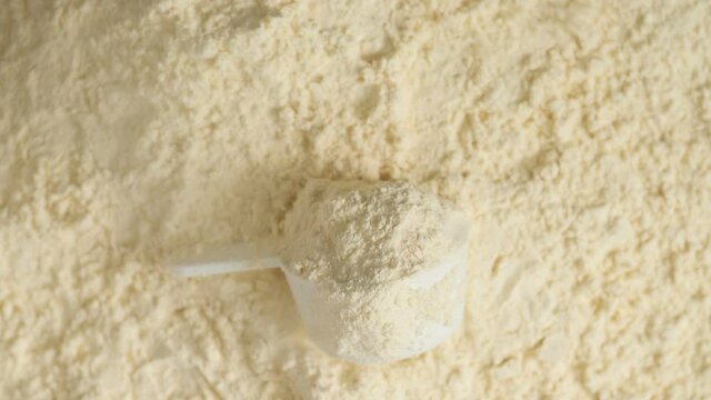 Protein powder and measuring scoop top view