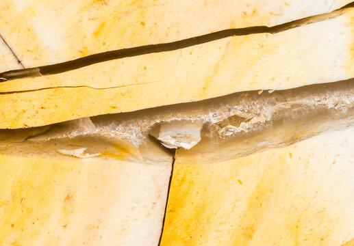 Macro photograph of a slab of polished Mookaite jasper from the Mooka Creek area of Western Australia. Formed approx. 125 million yrs ago, in part, from the fossilization of microscopic protozoa called radiolaria.