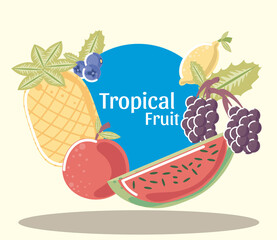 tropical fruits fresh pineapple grapes apple lemon and watermelon