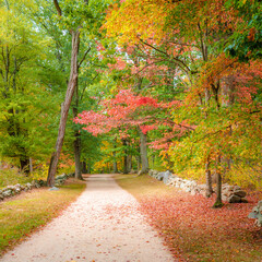 Naklejka premium Battle Road Trail