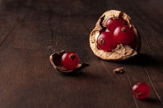 Still life composition with ripe red pomegranate seeds arranged in walnut shells on dark wooden background