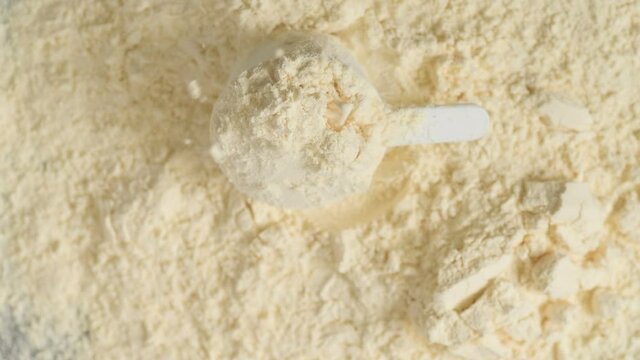 Protein powder and measuring scoop top view
