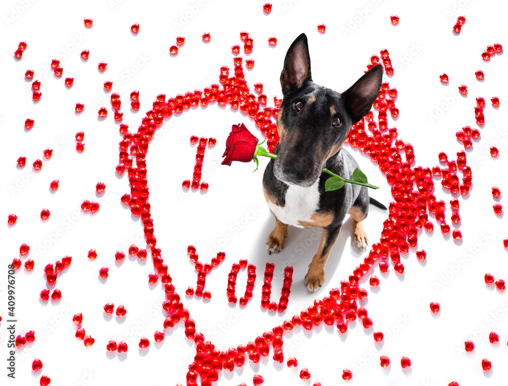 Canvas Prints dog valentines love heart