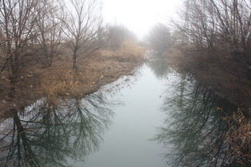 morning on the river