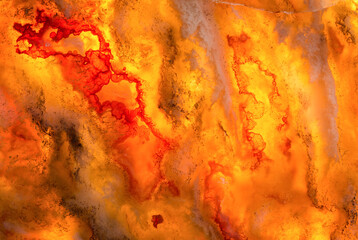 Strong backlighting enhances the color and chaotic structural depth of a Graveyard Point plume agate slice; from Oregon