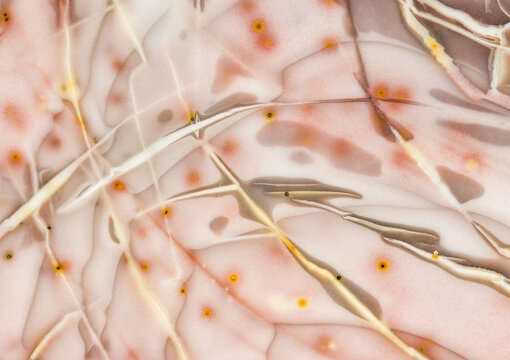 Macro photograph of patterns in a piece of jasper