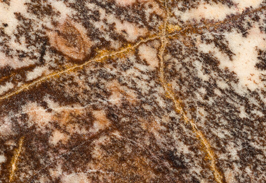 Macro photograph of a slab of polished Outback jasper from Western Australia. Jasper is a form of chalcedony.