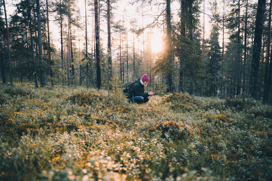 Side view of female explorer sitting in woods in cold season and looking at plants