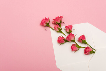 top view of small tea roses in envelope isolated on pink