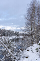 river Gauja is not frozen in winter but there is a lot of white fluffy snow along the banks and trees