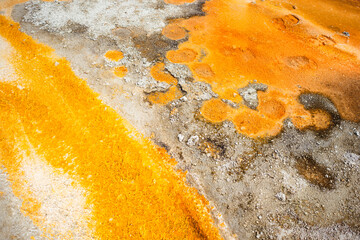 Grand Prismatic Springs in Yellowstone National Park Colorado