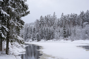 The river Gauja is partially frozen and the trees standing on the shore are snowy with white fluffy snow