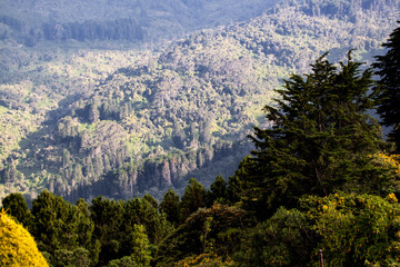 Cordillera de los Andes from Monserrate