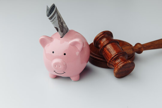 Gavel and pink piggy bank with dollar bill.