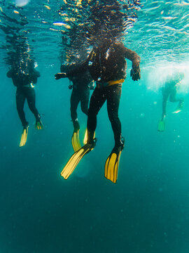 Cropped unrecognizable divers scuba diving in deep ocean