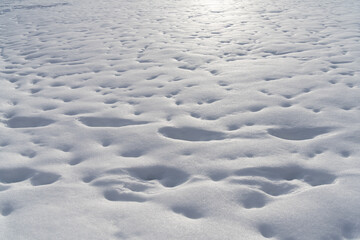 Footprints in the deep snow fields on the shores of the Upper Zurich Lake (Obersee), Hurden, Schwyz, Switzerland