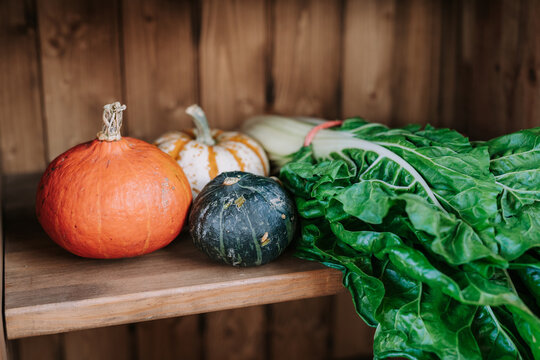 Various types of fresh pumpkins arranged near bunch of green chard leaves on wooden shelf